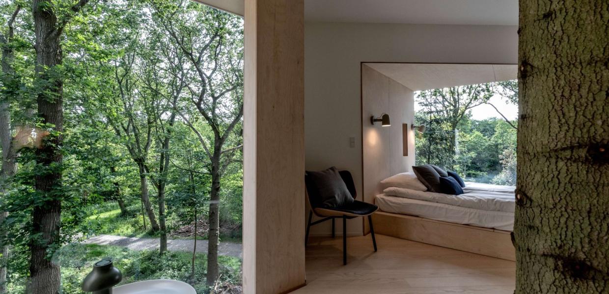 Utsikten fra innsiden av Løvtag Tretopphotell