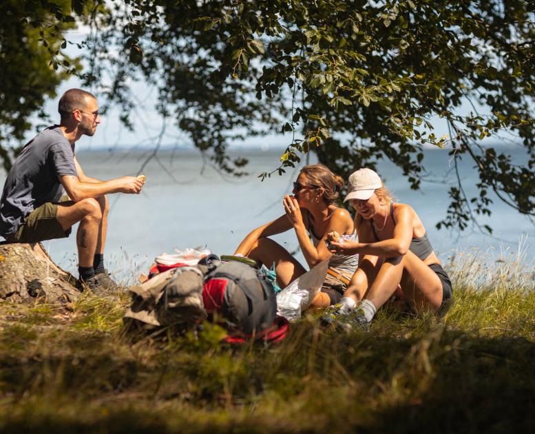 People on a hike on Danish Island Fyn taking a break at the coast