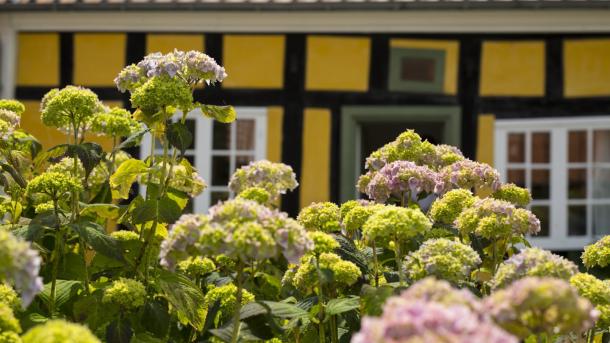 Skagens Museum Anchers Hus