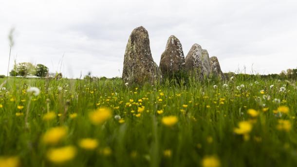 Ontdek de nationale parken van Denemarken, zoals Skjoldungernes Land