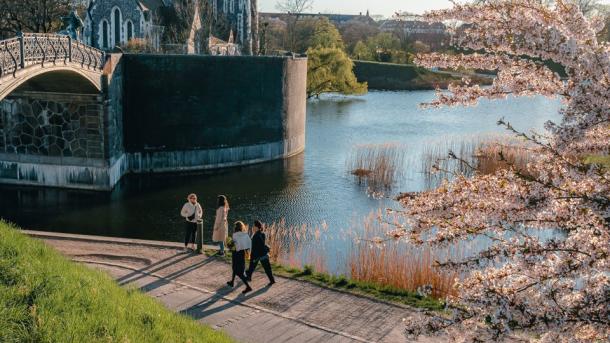 Spring Copenhagen Cherry Blossom St Alban's Church
