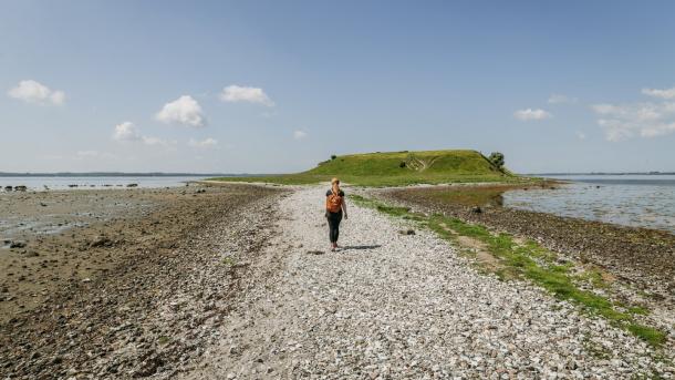 Een wandelaar verkent het schiereilandje Bolund Halvø in Nationaal Park Skjoldungernes Land in Denemarken