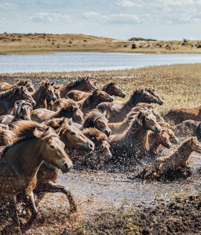 Vakantie Denemarken? Ontdek eilandenparadijs Funen