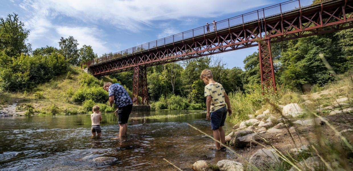 The rediscovered bridge, Den Genfundne Bro