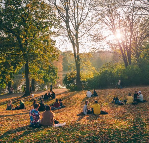 Ørstedparken in Autumn