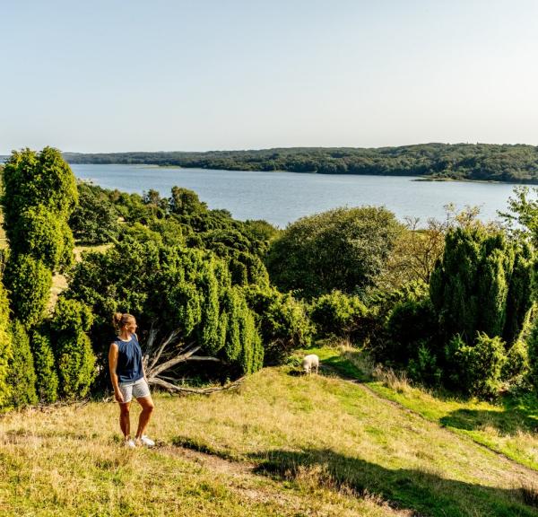 Kvinne på tur i Bramslev Bakker, Mariager Fjord, Nordjylland