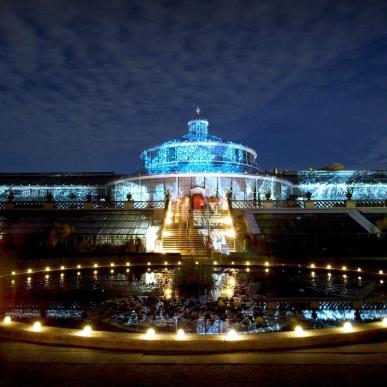 Copenhagen's Botanical Garden lights up on Culture Night