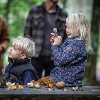 Zwei Kinder auf Pilzwanderung in Naturpark Vesterhavet