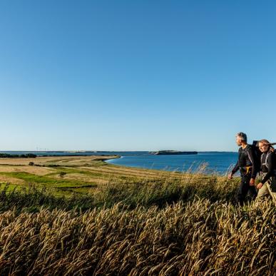 Paar wandert in Moors, im Hintergrund sieht man das Meer, Dänemark