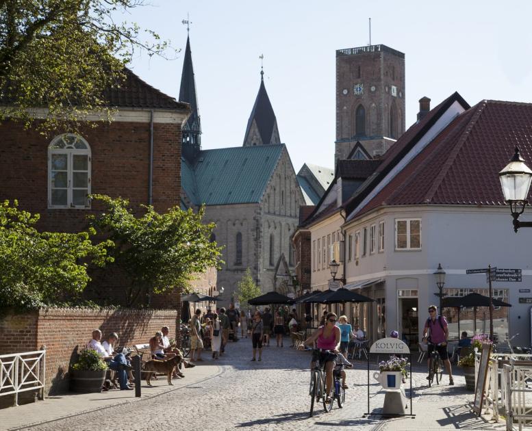Ribe by i Danmark