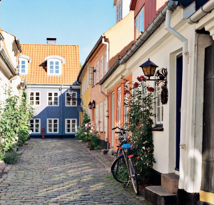 Stokkroser og sykkel i brosteinsgate i Hjelmerstald i Aalborg